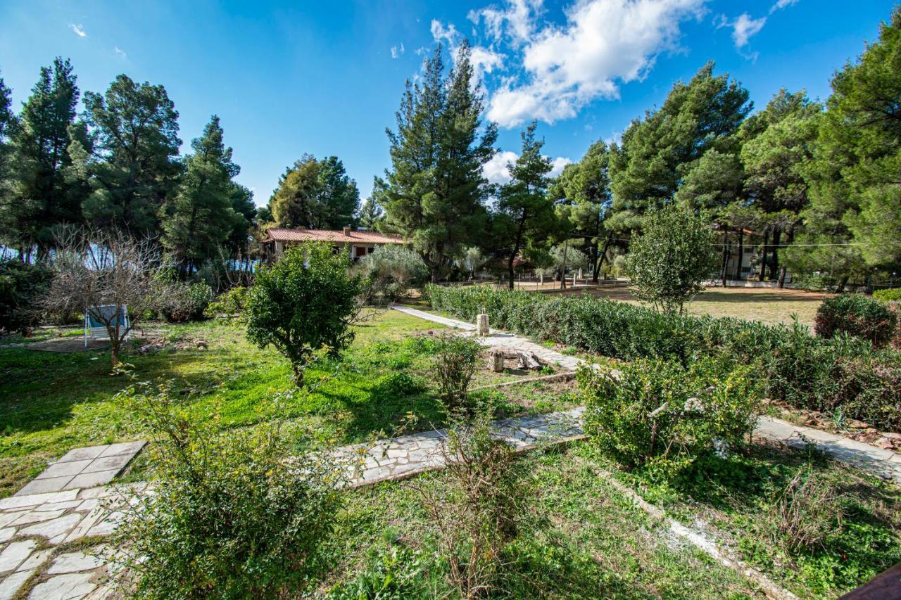 Xelidonia Apartments By Rentalspro Services - Nikiti Halkidiki Metamórfosi Eksteriør bilde